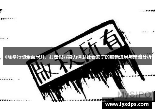《除暴行动全面展开,打击犯罪势力保卫社会安宁的最新进展与策略分析》 《除暴行动全面展开,打击犯罪势力保卫社会安宁的最新进展与策略分析》